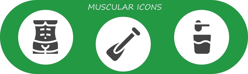 muscular icon set