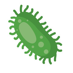 Different Kinds of Viruses. Bacteria Biology Organisms . Virus Infection Ebola Epidemic Sick. Medical Genetics Bacteriological Microorganism. Flat Vector Illustration,