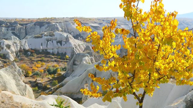 autumn cappadocia landscape in Turkey goreme