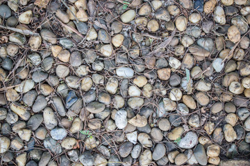 old pebbles with twigs on ground floor