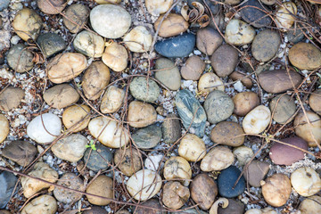 old pebbles with twigs on ground floor