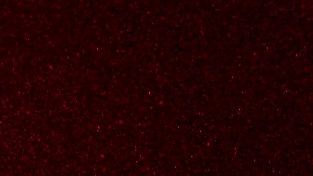 Fast fizzy blood red bubbles on a deep black background.