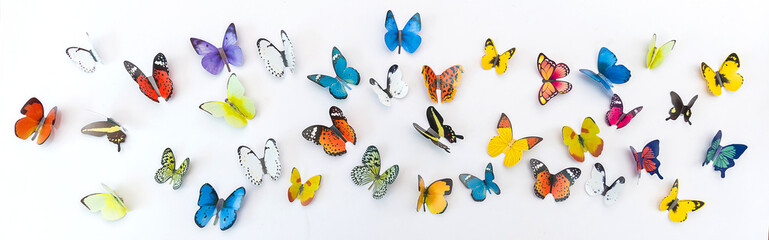 Photo of decorative butterflies pattern isolated on white background with copy space. Spring summer season flat lay and top view concept banner © paulaphoto