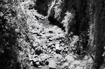 Typical water channel called 'Levada' in Madeira Island (Portugal, Europe)