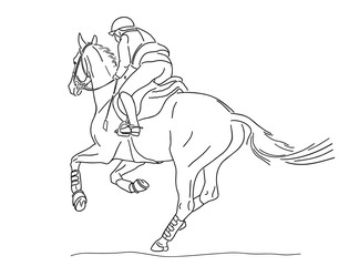 Equestrian event, rider and horse, cross country, the view from the back