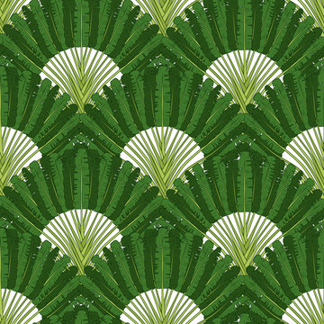 .Ravenala madagascariensis seamless pattern. Vintage texture with fan foliage. Hand drawn vector illustration with an exotic giant palm tree.