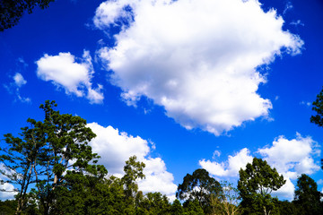 Blue sky and white clouds