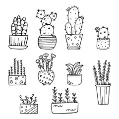 Set of hand drawn potted indoor flowers isolated on a white background. Doodle, simple outline illustration.