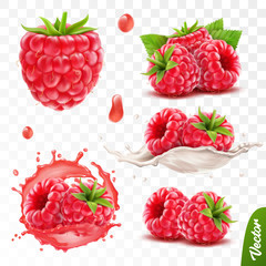 3d realistic transparent isolated vector set, whole and slice of raspberry, raspberry in a splash of juice with drops, raspberry in a splash of milk or yogurt