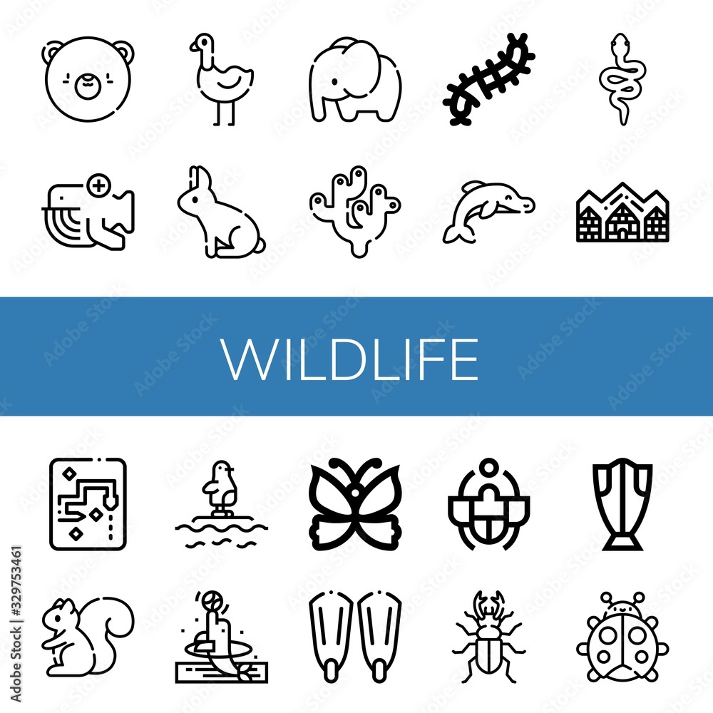 Wall mural wildlife icon set