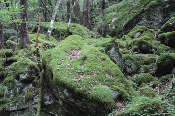 山犬嶽　yamainudake