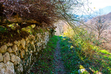 ancient way zero