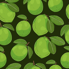 Lime fruit vector green