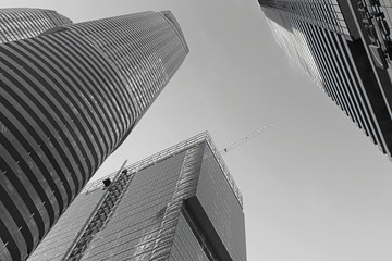 View of skyscraper in black and white. Downtown Toronto in Ontario. Canada