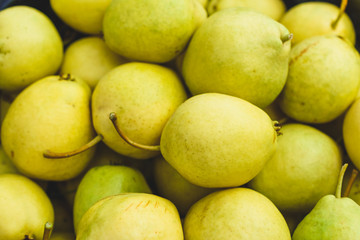 Ripe pears from a summer cottage. Close-up. Harvesting.