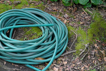 屋外の園芸用ホース