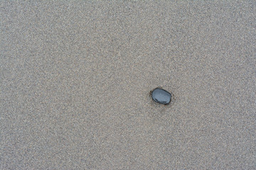 pebble on beach