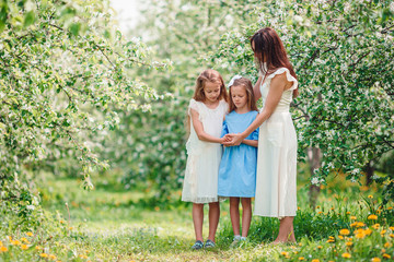 Adorable little girls with young mother in blooming cherry garden on beautiful spring day