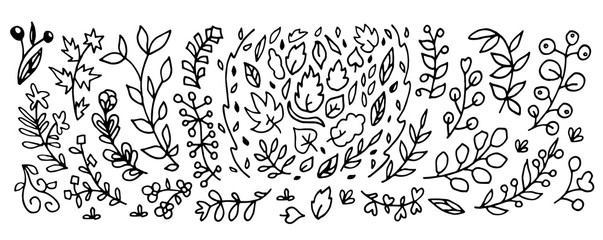 floral elements, flowers, foliage and leaves. Hand sketched vector vintage elements, doodle style.