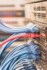 blue and red internet patch cord cables connected to black patch panel in data server room