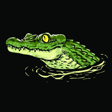 Baby crocodile head vector illustration