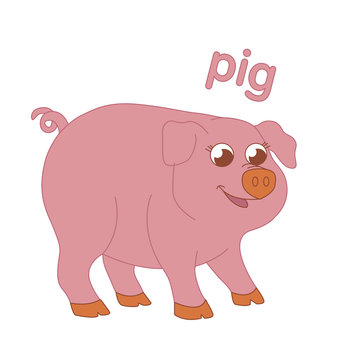 Pink pig illustration for children