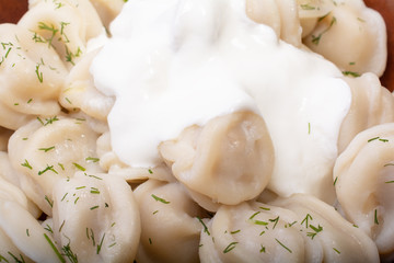 delicious dumplings with sour cream sprinkled with dill in a plate of red clay close up on a white background