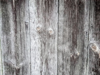 close up. the background image is a fragment of a wooden fence.