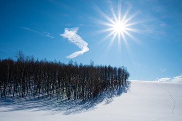 雪影の丘