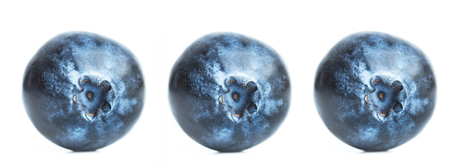 Arándanos sobre fondo blanco aislado en formato panorámico. Vista de frente