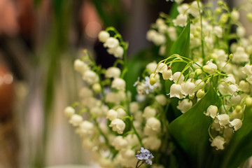 White Flowers