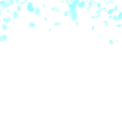 Turquoise flower petals falling down. Elegant roma
