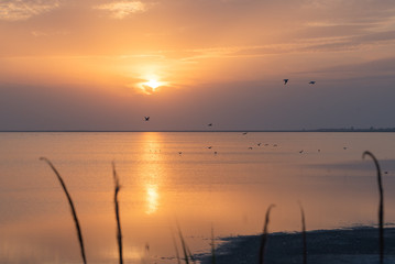 the sunset of puglia