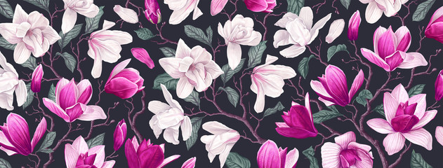 Fototapety  Duże tło dla sieci społecznościowych z wiosennymi kwiatami białych i różowych magnolii. Bardzo realistyczne i szczegółowe gałęzie z kwiatami, liśćmi i płatkami. Szablon do okładek, postów, banerów.