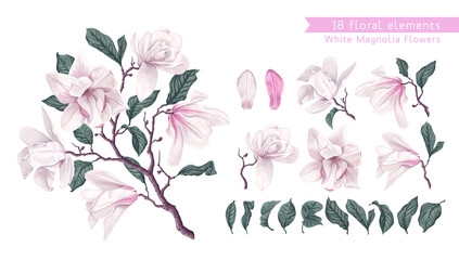 Vector flowers set with White Magnolia. Isolated magnolia illustration element. Realistic illustration of a branch spring magnolia plant, large flowers and leaves. High detailed, hand drawn art. - obrazy, fototapety, plakaty
