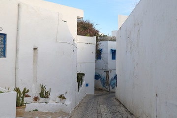 Street view in the city of Sidi Bou Said, Tunisia