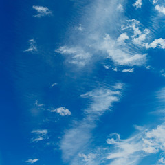 Fototapeta na wymiar a group of white cirrus clouds in the blue sky as a natural background