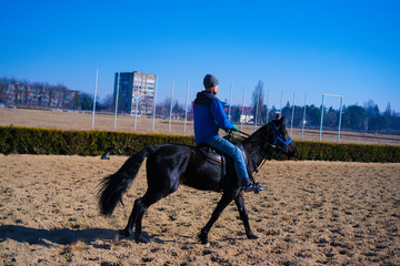 The horse goes with the horse