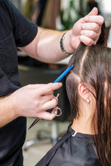 Fototapeta premium Hairdresser combs hair.