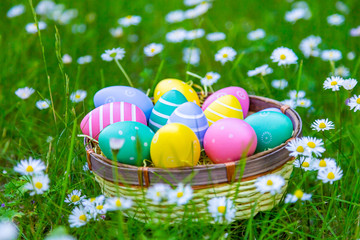 Ostereier in einem Korb auf der Wiese