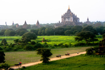 Vista de los templos budistas de Bagan (Myanmar) desde la parte superior de uno de ellos.