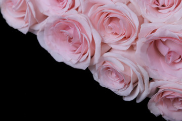 bouquet of pink roses on a black background