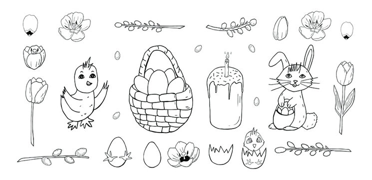 Easter basket with eggs and rabbit with chicken and hatching chick with broken eggs and tulips with pussy willow and easter cake isolated on white background. Easter elements for designing invitations