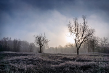 Early morning, fog glade, grass and trees in hoarfrost and a lake house.