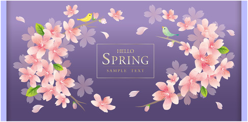 Elegant Spring Flowers Vector Background　春の花　桜　