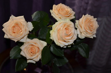 Against the background of purple textile, on a round glass table in a beautiful vase there is a bouquet of beautiful fresh fragrant orange roses with green leaves.