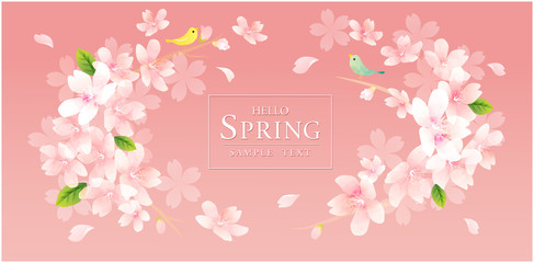 Fototapeta na wymiar Elegant Spring Flowers Vector Background　春の花　桜　