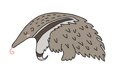 Cute sleeping anteater