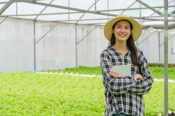 young asian agronomist farmer smiling and holding mobile smart tablet with hydroponic fresh green vegetables produce in greenhouse garden nursery farm, smart farming, agriculture business concept