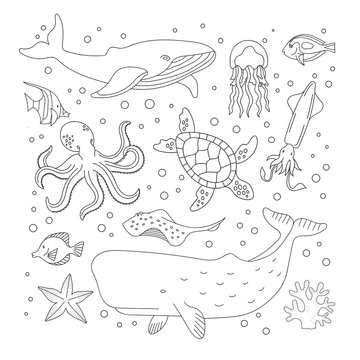 Sea Animal Outline Images – Browse 83,072 Stock Photos, Vectors, and Video  | Adobe Stock